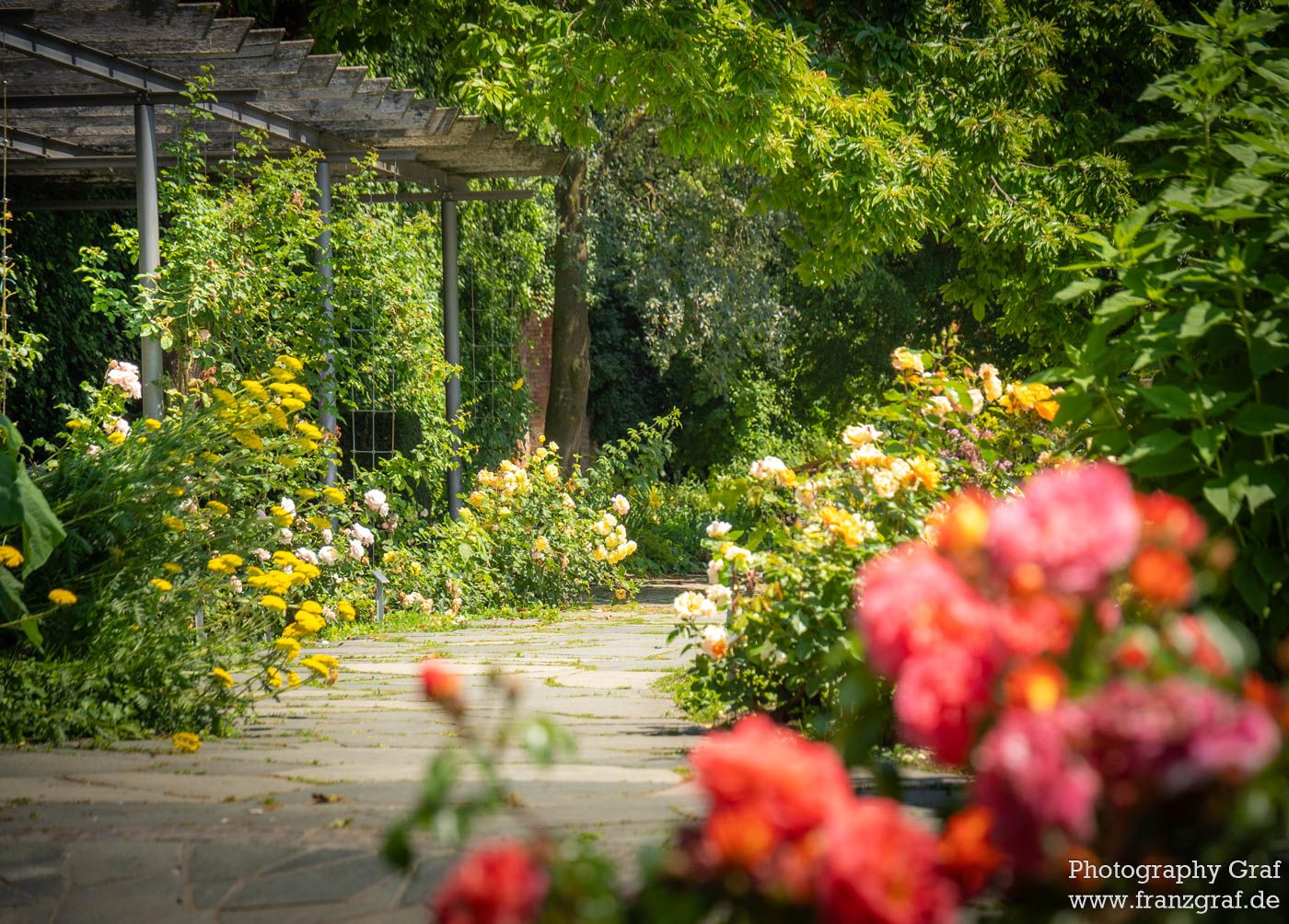 Exploring the Black Forest: A Journey Begins – The Beauty of Nature