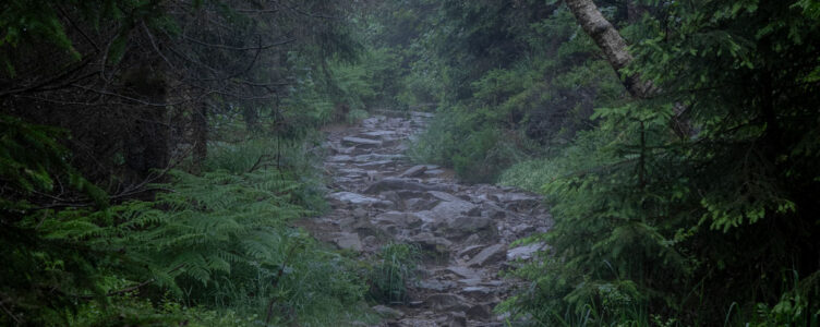 A Rainy Day of Hiking and History in the Black Forest