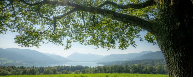 A Walk with Great Views over Tegernsee