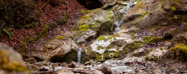 Exploring Local Waterfalls