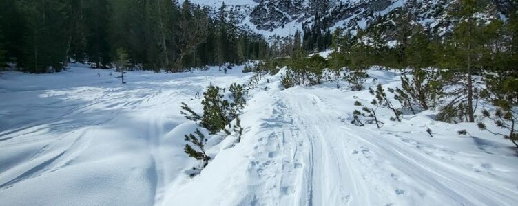 Another Weekend, Another Snowshoe Adventure