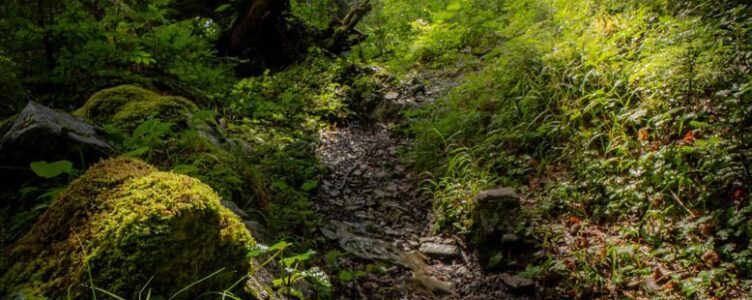 Reflections on a Rainy Bike & Hike