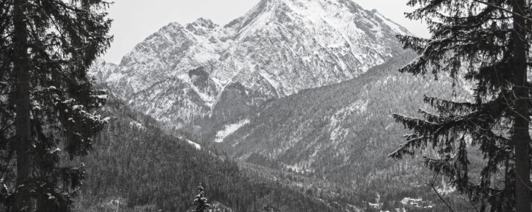 Embracing Solitude in the Snow: A Lonely Snow Walk